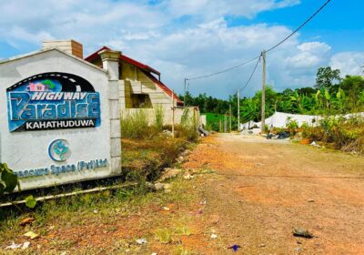 WhatsApp-Image-2024-01-21-at-15.12.00-1