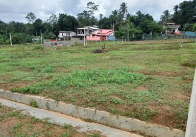 WhatsApp-Image-2024-01-21-at-15.13.08